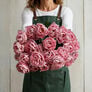 Mariage, Tulip - 10 Bulbs thumbnail number null